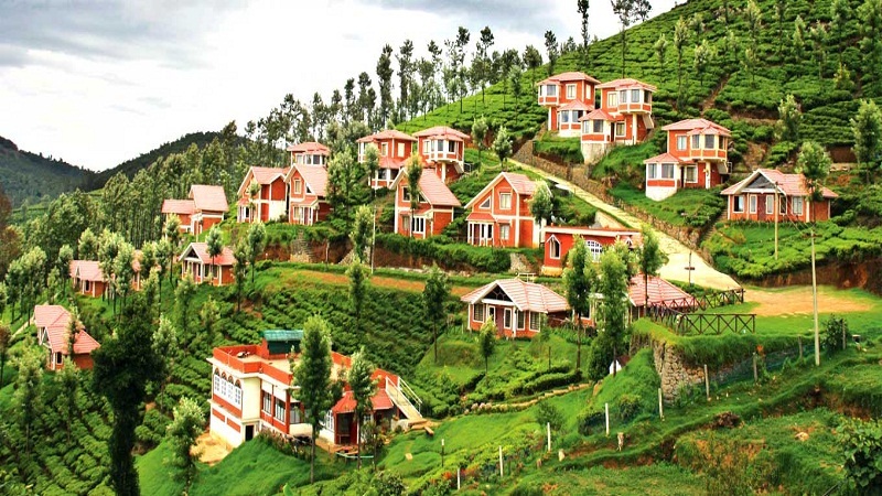 Day 01: Coimbatore - Ooty (90 kms / 2-3 hrs)